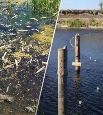 Вода у Десні стає більш забрудненою, — &quot;Чернігівводоканал&quot;