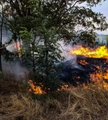 За добу ліквідовано 41 пожежу, одна з яких - внаслідок бойових дій