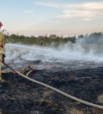 Майже три десятки пожеж в екосистемах ліквідували закарпатські рятувальники протягом вихідних