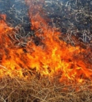 У селах Дубенщини двічі за добу горіла суха трава