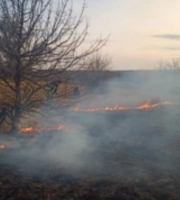 Поблизу села Симонів виникла пожежа: горіла суха трава та чагарники