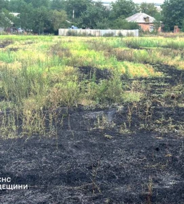 На Одещині покарали палія сухої рослинності