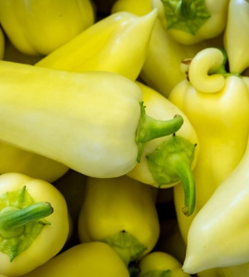 В Киеве 3−8 сентября пройдут продуктовые сельскохозяйственные ярмарки — адреса