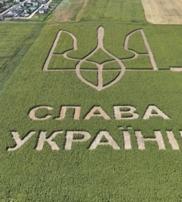 Велетенський тризуб на полі соняшника встановив новий рекорд (відео)