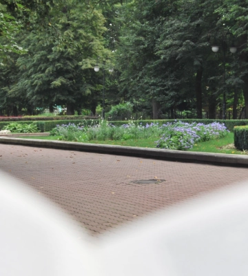 Як зміниться парк по вулиці Молодіжній в Івано-Франківську