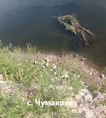 На Сумщині вода у Сеймі стає  чистішою