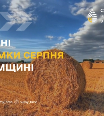 На Сумщині підбили погодні підсумки серпня