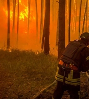 Через масштабну лісову пожежу евакуюють жителів села в Ізюмському районі