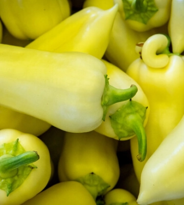 У Києві 3–8 вересня відбудуться продуктові сільськогосподарські ярмарки