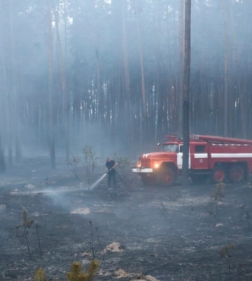 На Харківщині двоє людей постраждало унаслідок масштабної лісової пожежі – ОВА