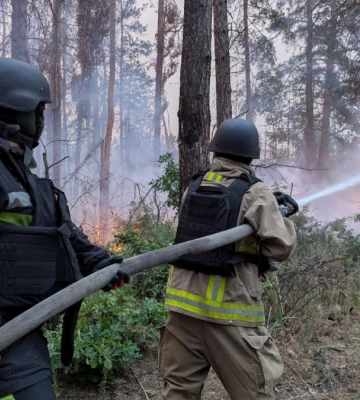 Пожежу в національному природному парку «Святі гори» на Донеччині гасять третю добу