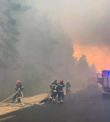 На Кіровоградщині у Чорноліській філії за дві доби сталось 4 лісові пожежі через російські ракетні атаки