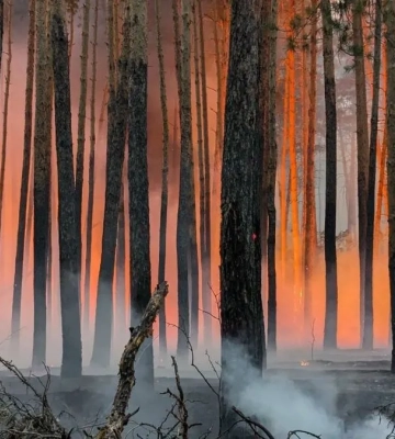 У Харківській області через масштабну пожежу евакуюють ціле село