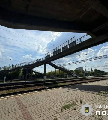 Сбросила собаку с моста: женщине в Киевской области грозит до 8 лет за решеткой