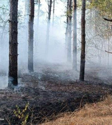 У Миколаївській області  за добу ліквідовано 40 пожеж