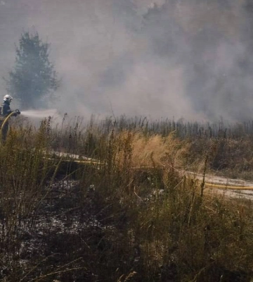 У Чорнобильській зоні горить 20 га лісової підстилки. У Київській ОВА запевняють - радіаційний фон у межах норми