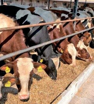Більше 500 фермерів Миколаївщини отримають дотацій