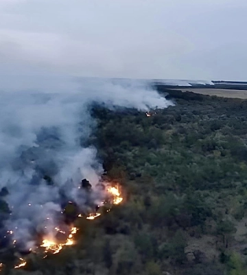На Сумщині через рашистський КАБ згоріло 27 гектарів лісу