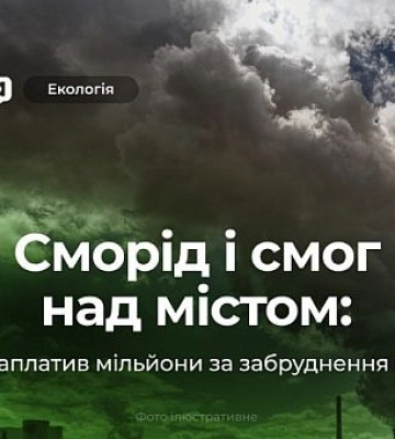 Держекоінспекція оштрафувала на понад 10 млн гривень підприємство у Кривому Розі за шкідливі викиди у повітря