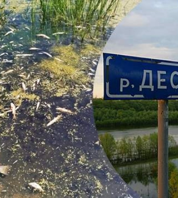 Якість води у Десні в межах Чернігова суттєво погіршується, — &quot;Чернігівводоканал&quot;
