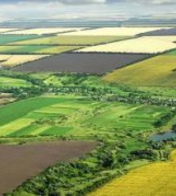 ФДМУ оголосив перші аукціони з оренди держземель сільськогосподарського призначення