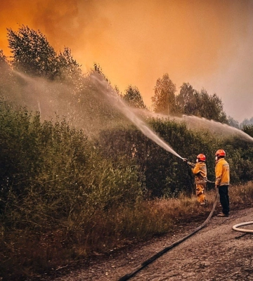 Пожежу у Чорнобильській зоні локалізували: радіаційний фон у нормі