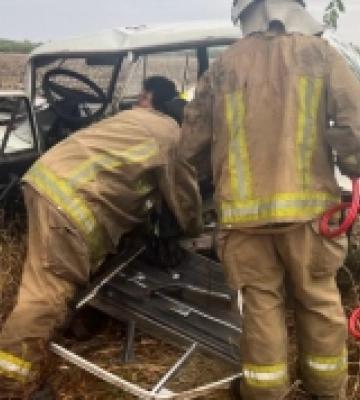 На Одещині автомобіль врізався в дерево, є постраждала