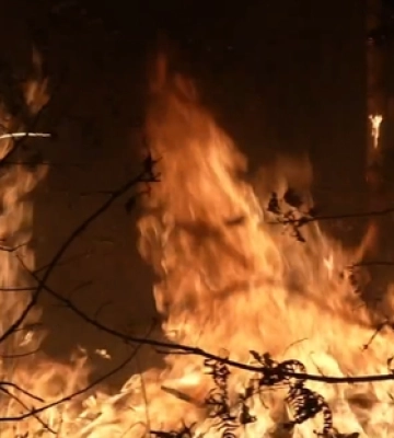 На Волині сталася масштабна пожежа, ймовірно підпал. Відео