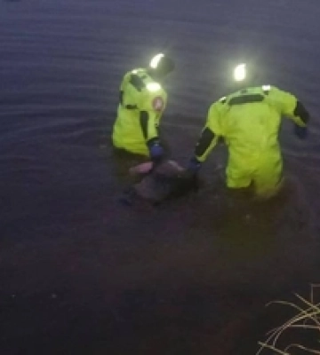 На Волині у ставку виявили тіло чоловіка