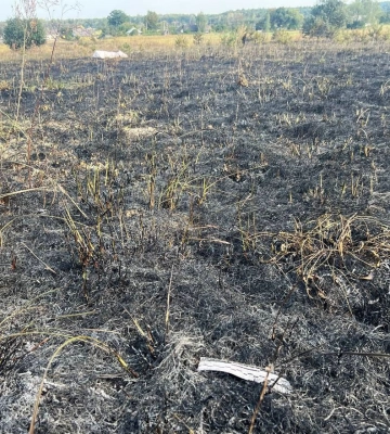 Пенсіонерка з Рівненщини загинула у вогні, коли палила суху траву