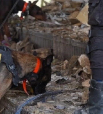 Як допомогти постраждалим від ракетного удару у Полтаві