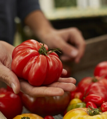 Где в эти выходные в Киеве пройдут продуктовые ярмарки. Адреса