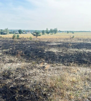 Спалювала сухе зілля: на Рівненщині у пожежі загинула жінка