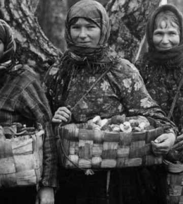 Які гриби збирали на Волині на початку минулого століття (ретрофото)