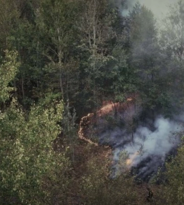 Рятувальники ДСНС ліквідували масштабну пожежу на Сумщині