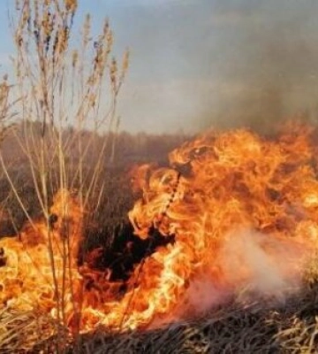 ППО працює по дронах у Київській області