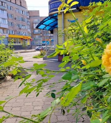 Погода у вересні буде як влітку