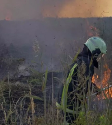 На Львівщині за добу палії сухостою спричинили 43 пожежі