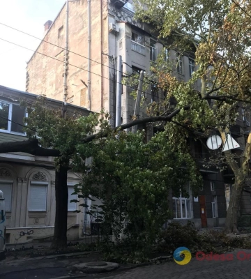 Шторм в Одесі повалив 40 дерев та великих гілок, та залишив 30 вулиць без освітлення