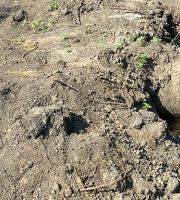 Перекрив річку дамбою, щоб поливати баштан: жителя Одещини судитимуть за незаконні оборудки