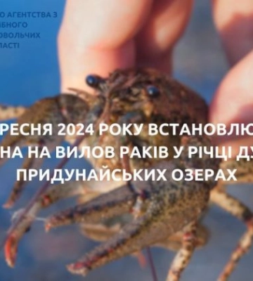 На Одещині почне діяти заборона на вилов раків