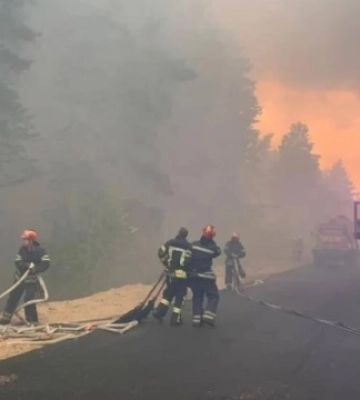 На Кіровоградщині ліквідували лісову пожежу, що тривала кілька днів