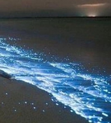 В Одесі спостерігали красиве природне явище — світіння моря