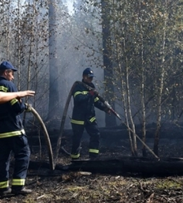 У Луцькому районі майже дві доби гасять масштабну лісову пожежу 