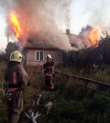У Луцькому районі майже дві доби гасять масштабну лісову пожежу 