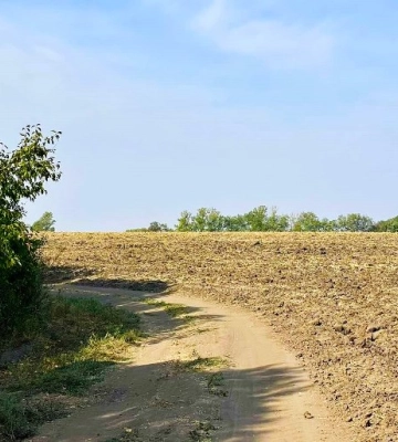 Холодні ночі та теплі дні: у Полтаві та області буде сухо та сонячно