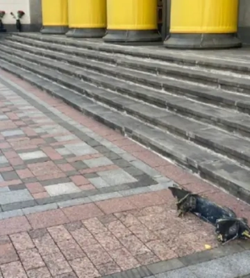 Дрони РФ намагалися атакувати будівлю Ради 