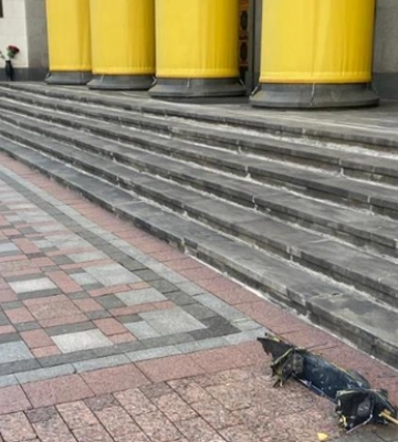 У Києві уламки збитого &quot;Шахеда&quot; впали біля Верховної Ради України. Подробиці і фото