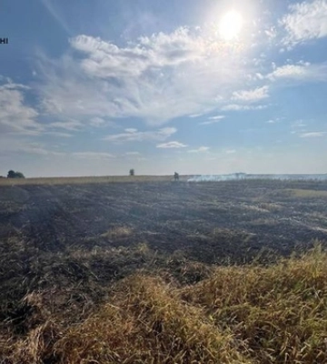 На Волині курці спалили пів гектара сухої трави 
