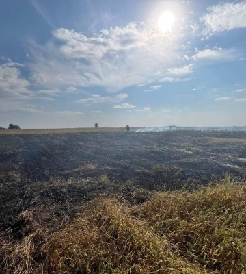На Волині курці спалили пів гектара сухої трави 